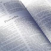 כריכת הספר "Handfuls on Purpose" מאת Smith James , Lee Robert